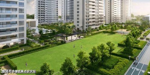 宁波绿城小区最新爆料,揭秘神秘事件背后的真相