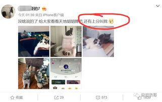 qq免费吃瓜网红圈是真的吗,QQ免费吃瓜网红圈的真实性探究 第3张 qq免费吃瓜网红圈是真的吗,QQ免费吃瓜网红圈的真实性探究 第3张